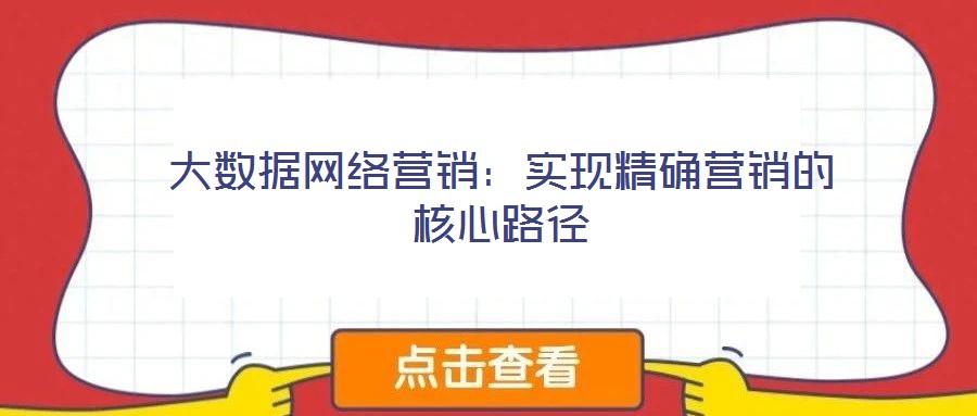 大數(shù)據(jù)網(wǎng)絡(luò)營(yíng)銷(xiāo):實(shí)現(xiàn)精確營(yíng)銷(xiāo)的核心路徑